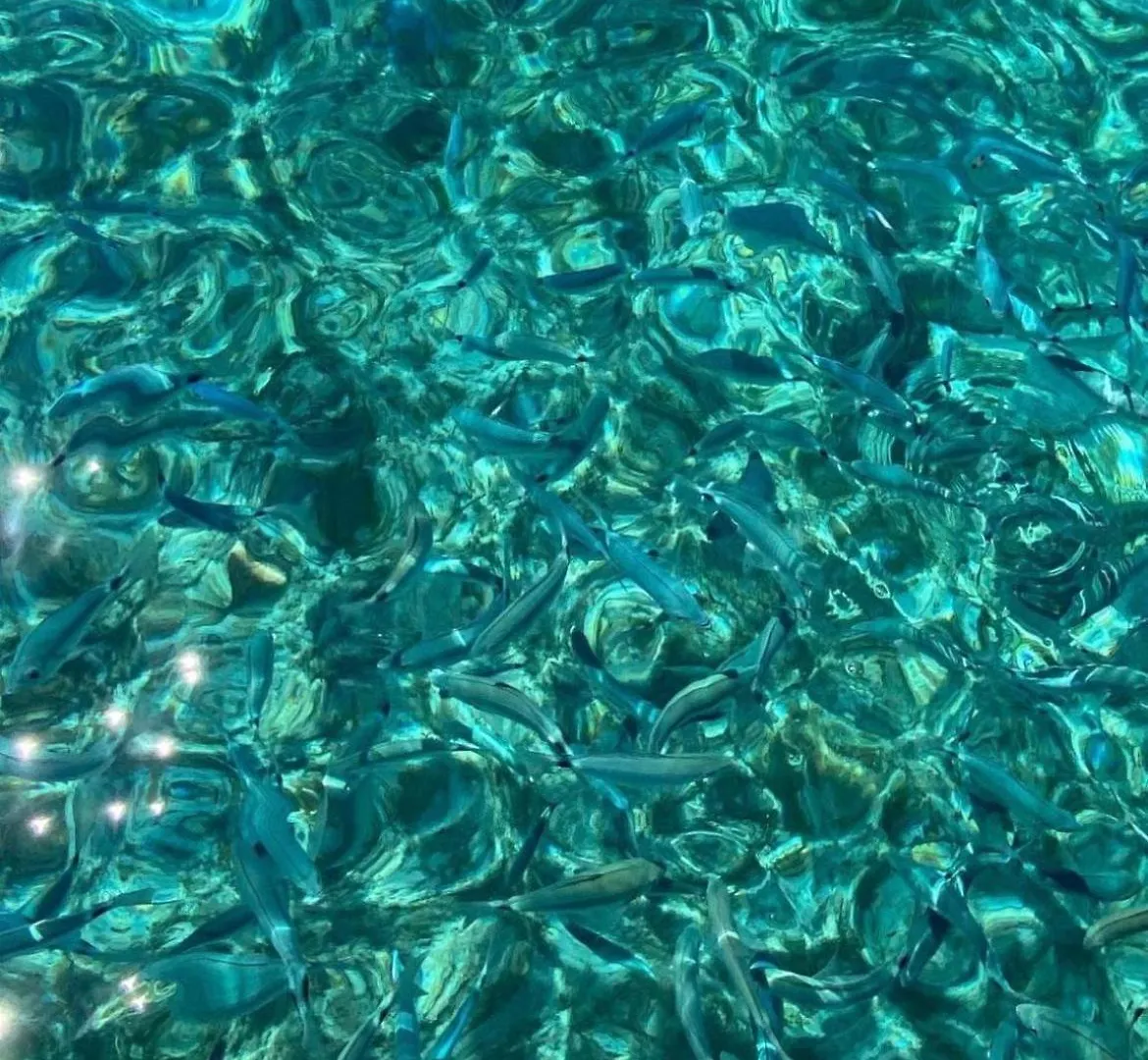 Nicola'S Luxury Sardinia Apartment Santa Teresa Gallura